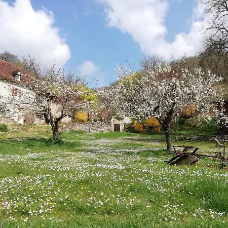 Oltarcie - Maison D'hote Avec Piscine Oda ve Kahvaltı Espagnac-Sainte-Eulalie